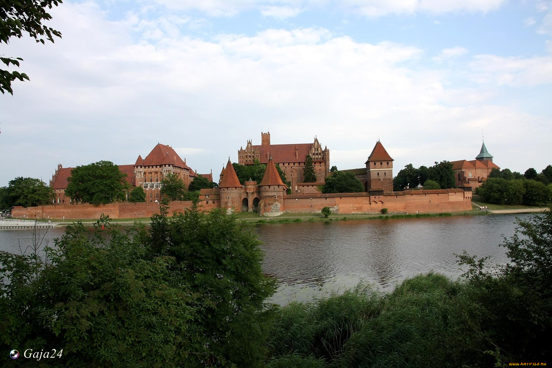 malbork castle, ,  , malbork, castle